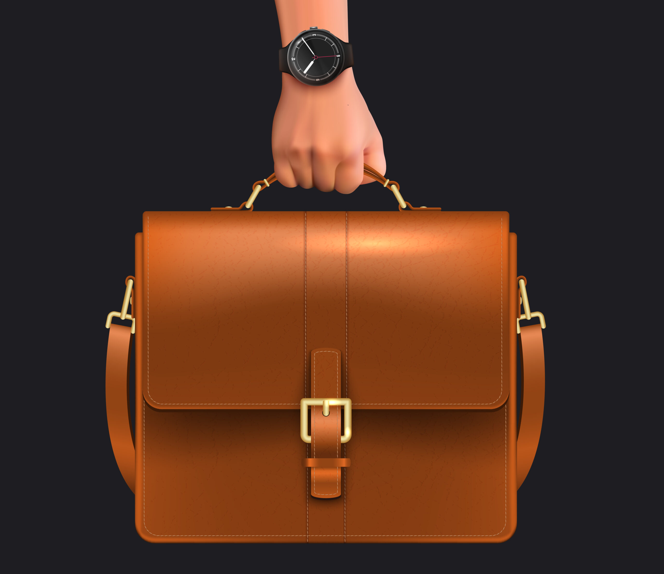 Briefcase Bag