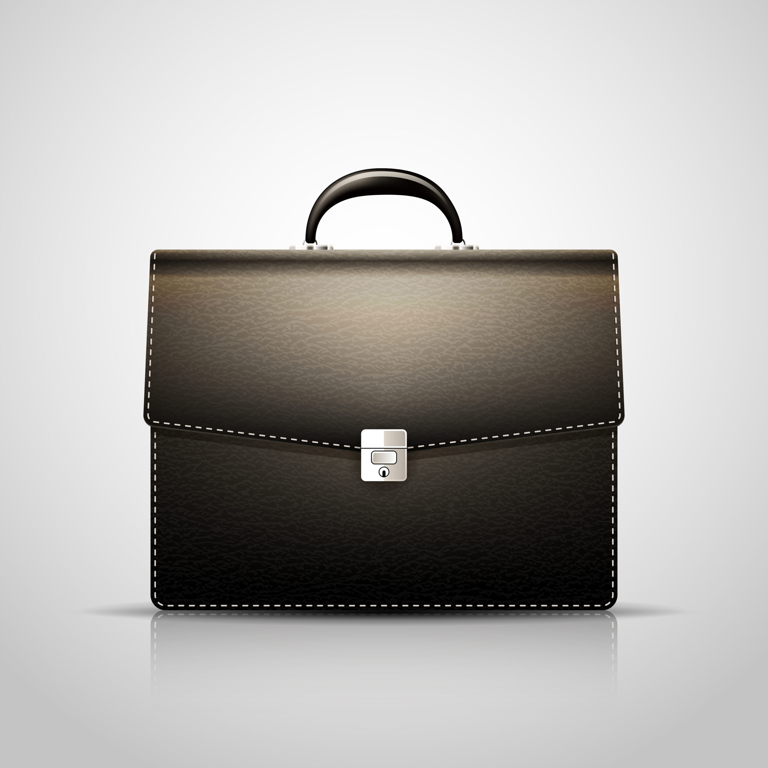 Briefcase Bag